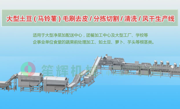 武定连续式土豆去皮清洗切割风干生产线